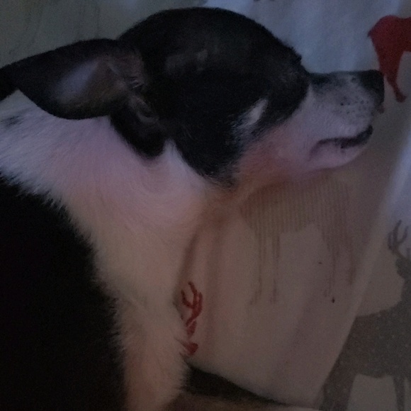 pepperlove88